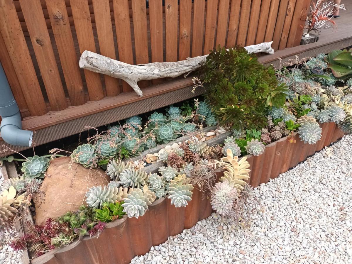 Chameleon Lodge Colchester Luaran gambar