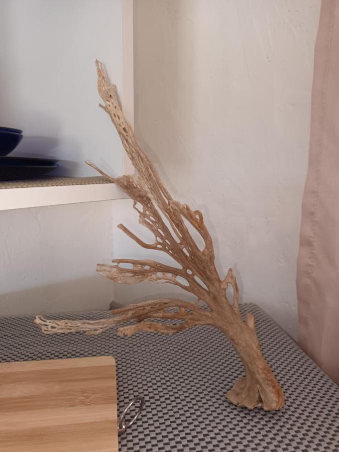 Chameleon Lodge Colchester Luaran gambar