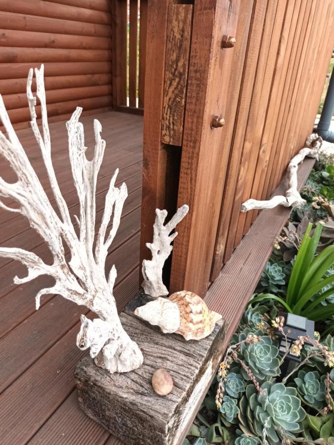Chameleon Lodge Colchester Luaran gambar