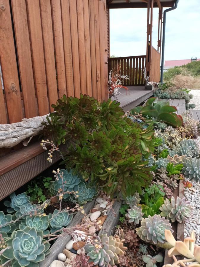 Chameleon Lodge Colchester Luaran gambar